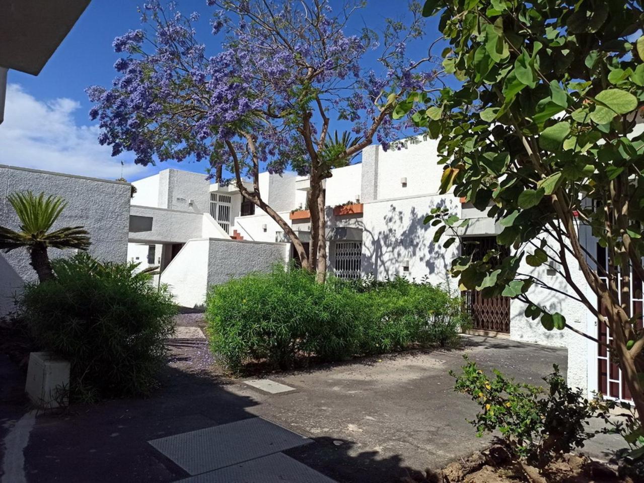 Ferienwohnung Nice Studio In The South Of Tenerife In The Costa Del Silencio Exterior foto